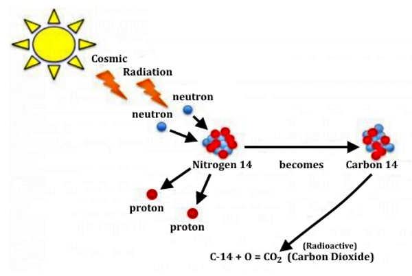 FromNitrogen-Carbon