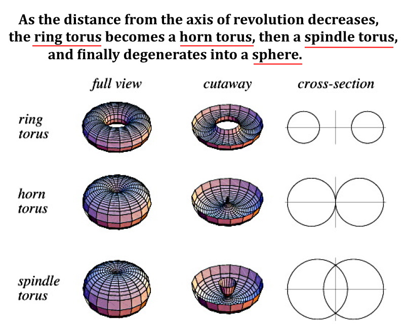 Torus