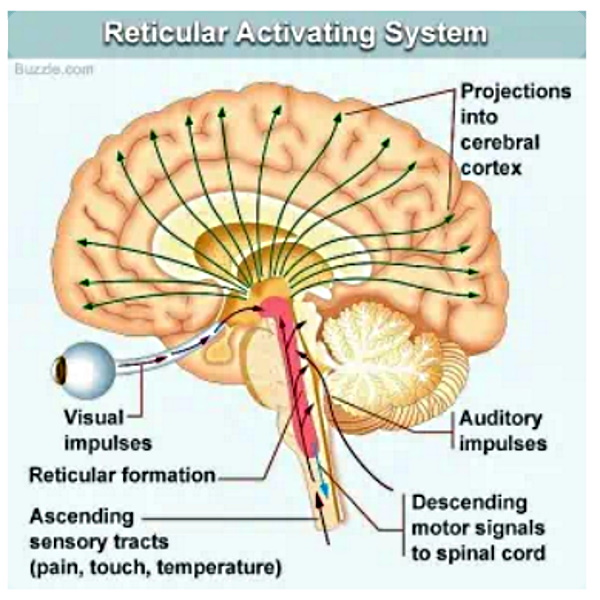 RAS