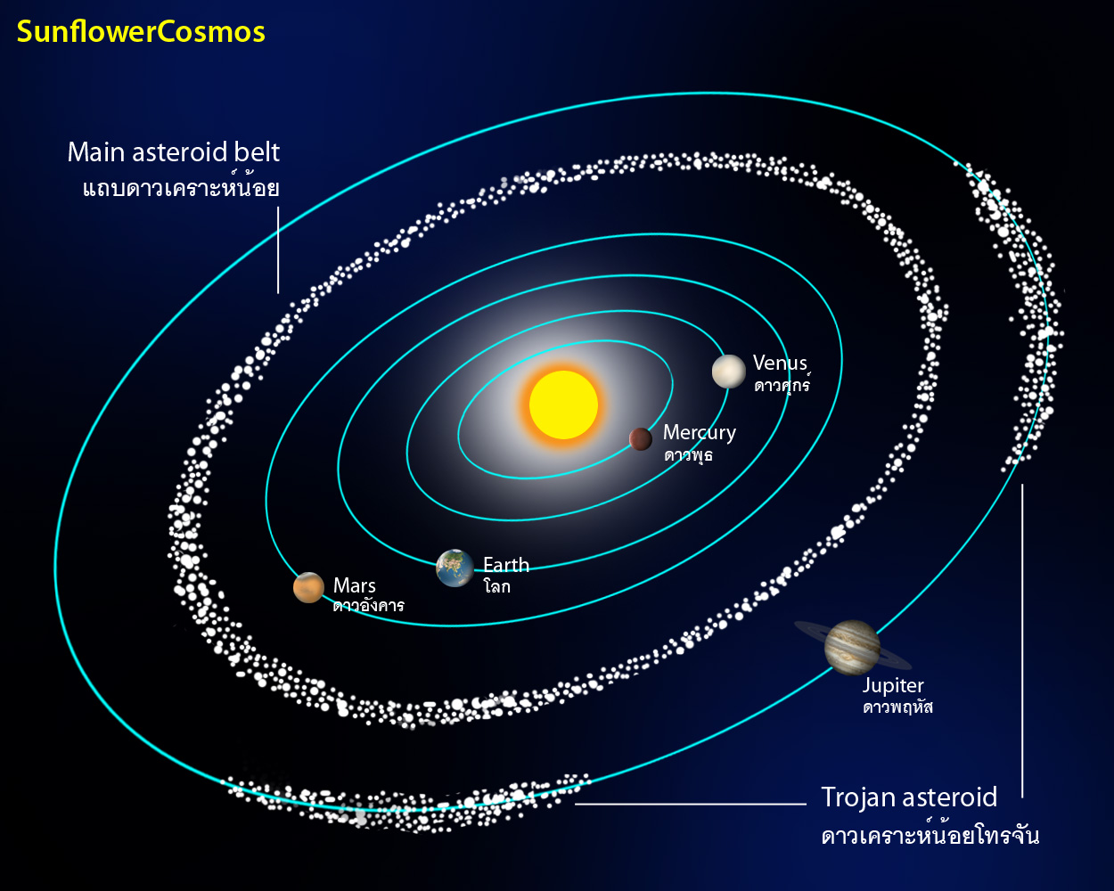 Asteroids