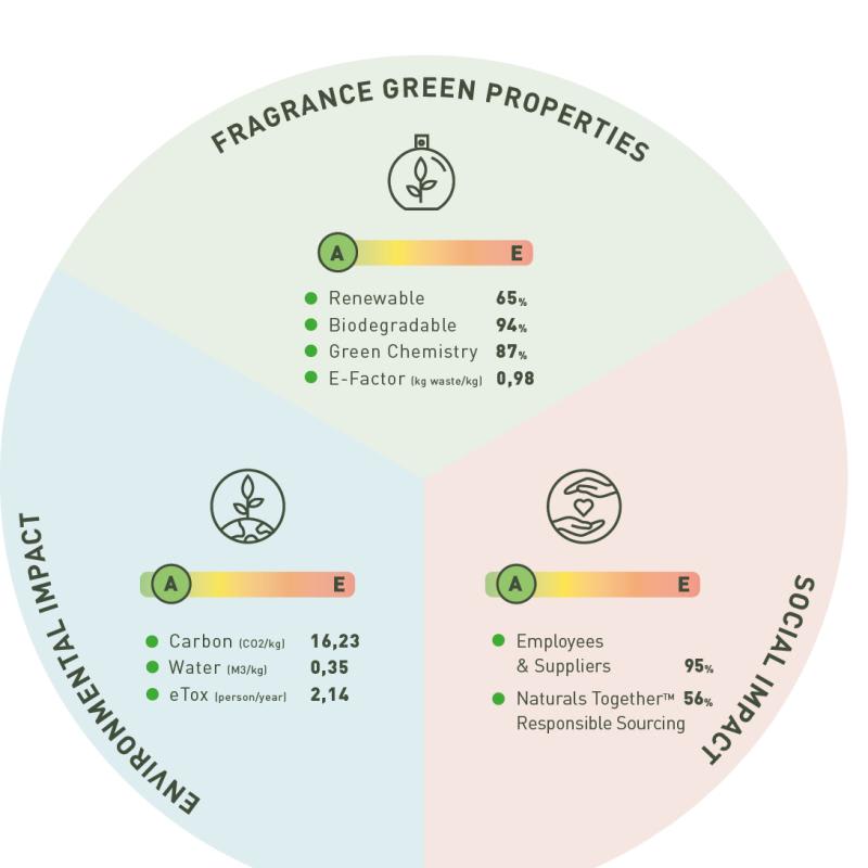 Fragrance: Our purpose EcoScent Compass™ | Firmenich