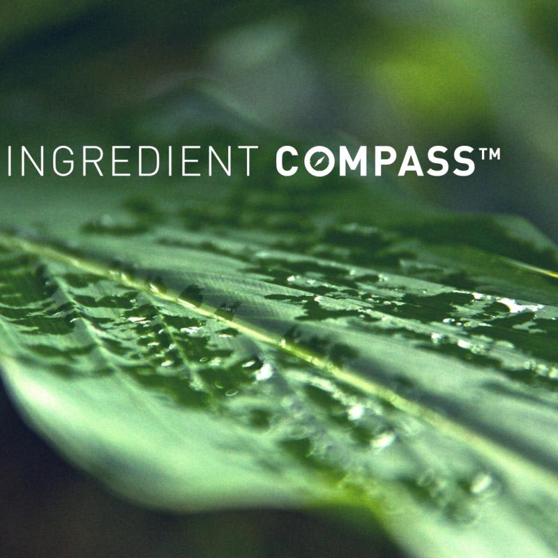 Eco Ingredient Compass
