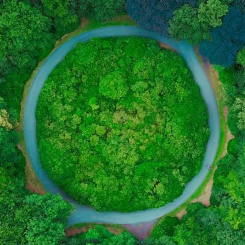 EcoScent Compass™