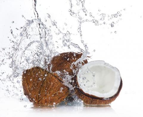 FIRMENICH NAMES COCONUT THE 2016 ‘FLAVOR OF THE YEAR’
