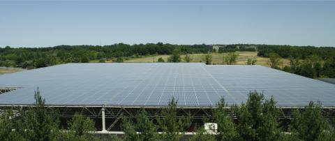 FIRMENICH ADVANCES LEADERSHIP IN RENEWABLE ENERGY
