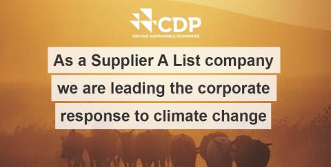 FIRMENICH SCORES A PERFECT “100A” IN THE CDP SUPPLIER CLIMATE A LIST 2015