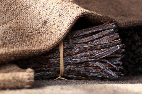 FIRMENICH ENRICHES VANILLA PALETTE WITH SUSTAINABLE AND COST-EFFECTIVE NATURAL TONALITIES