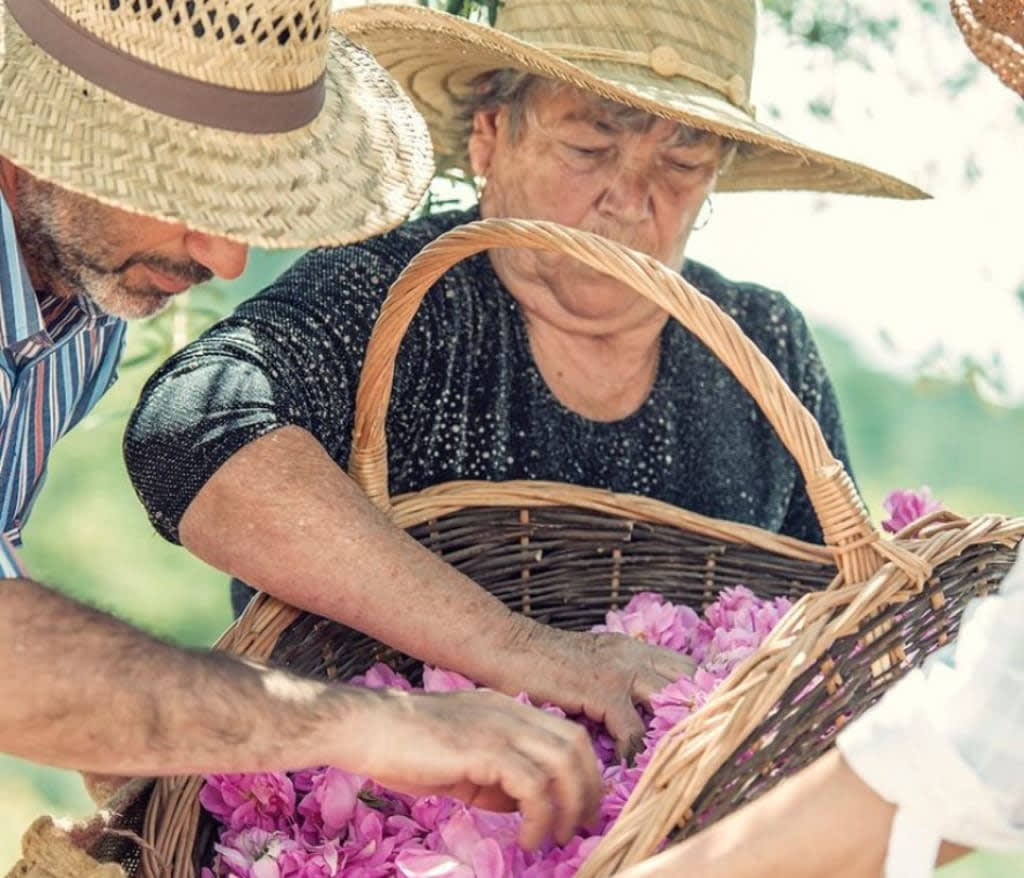 Farmer