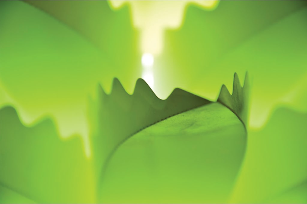 Leaf