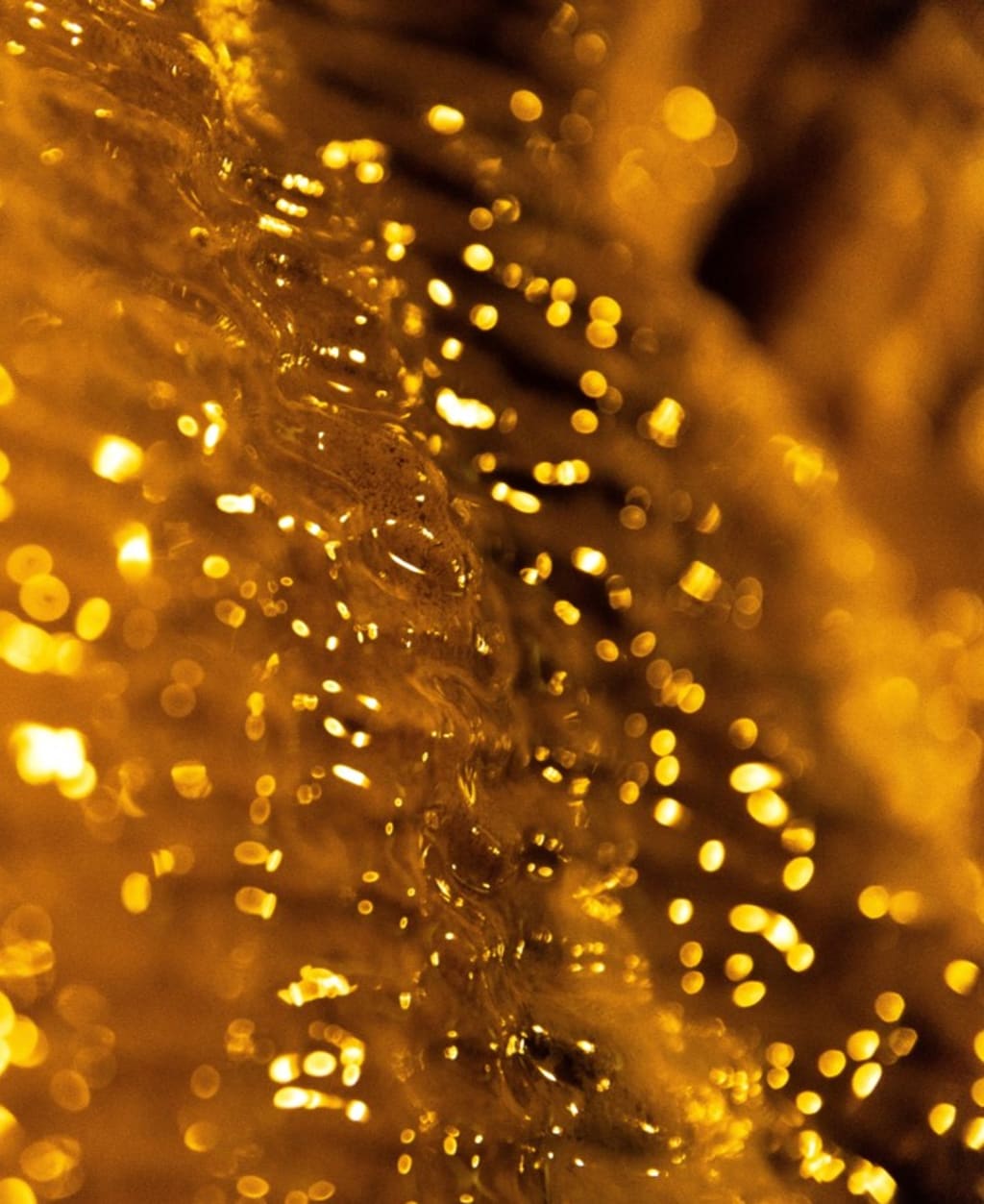 Amber, Amber Fragrance Amber, Amber Fragrance