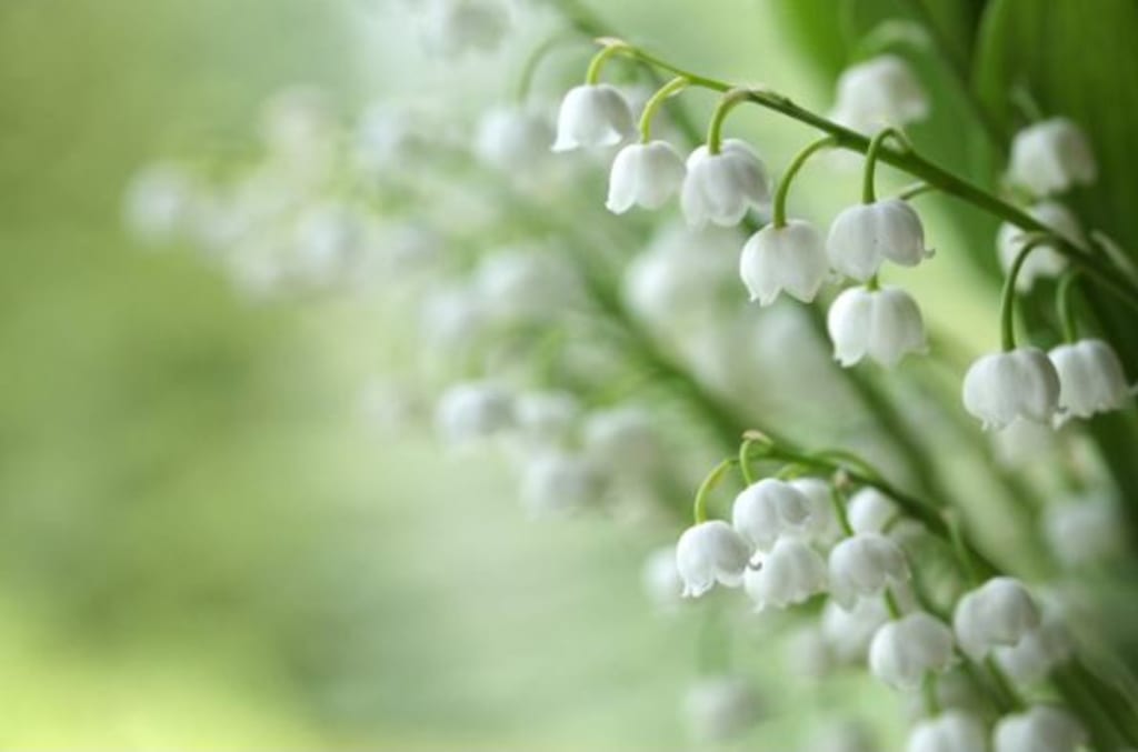 Creative sustainable innovation