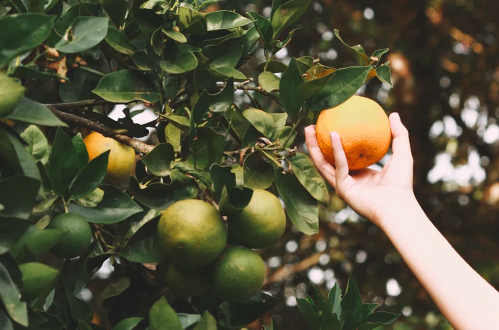 Responsible sourcing