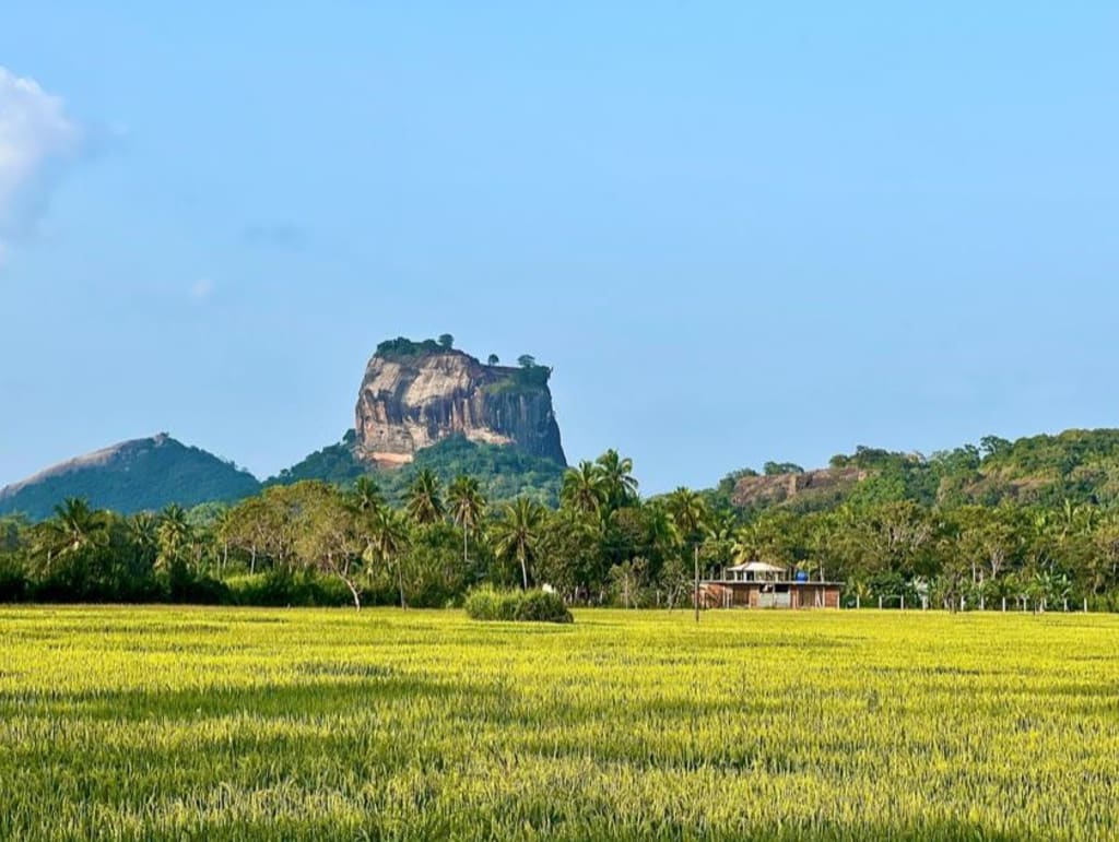 Action towards deforestation free