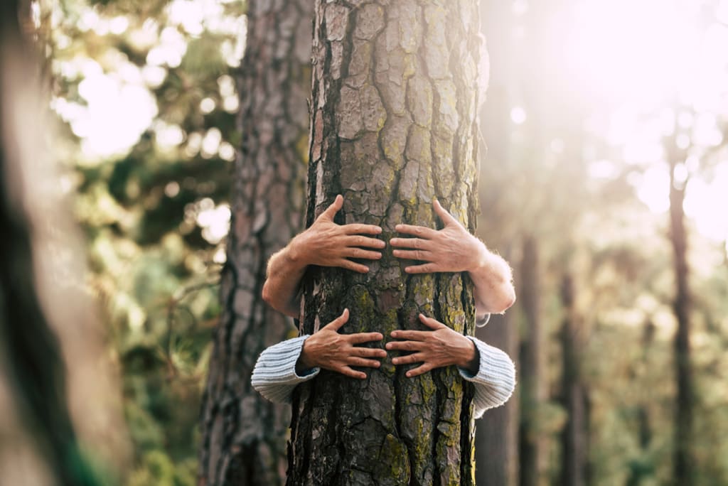 hands on tree trunk