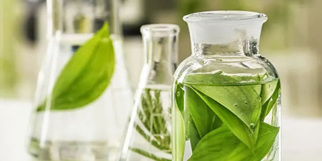 #1 in Conscious Perfumery by 2030