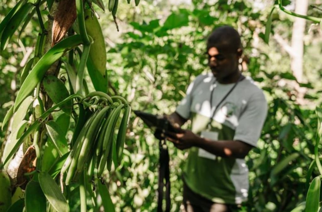 Sourcing partnerships​