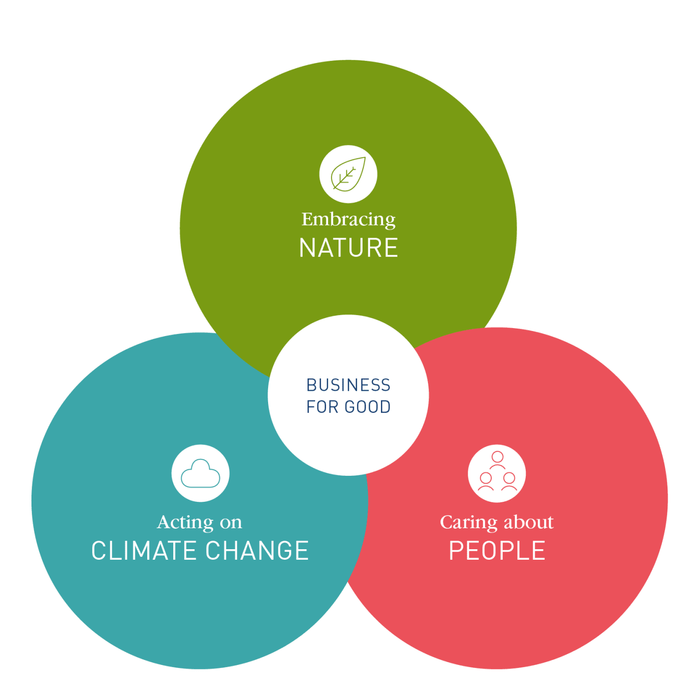 Sustainability in perfumery and flavors industry – Our strategy Sustainability in perfumery and flavors industry – Our strategy