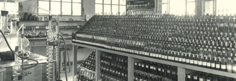 1931