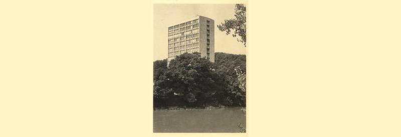 1964