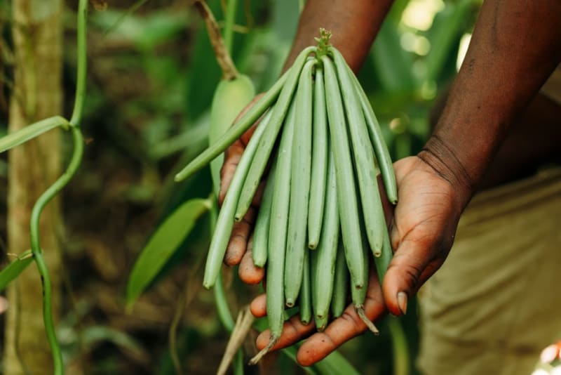 Harnessing nature responsibly