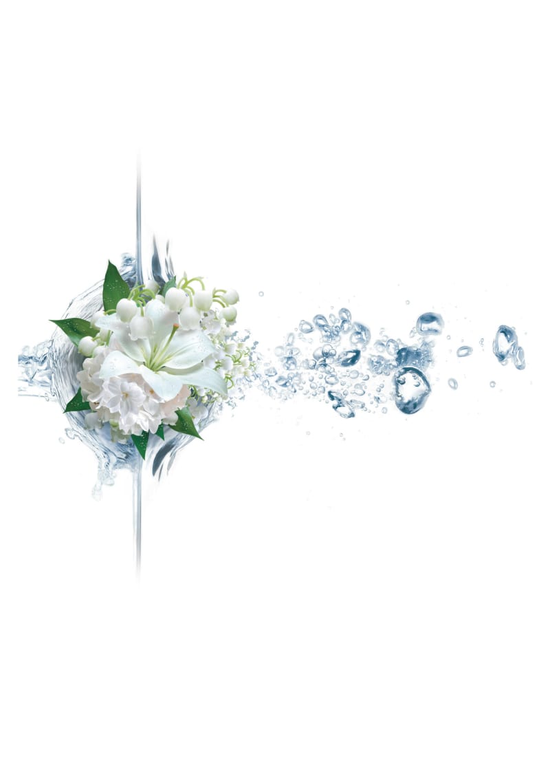 CARBINOL MUGUET