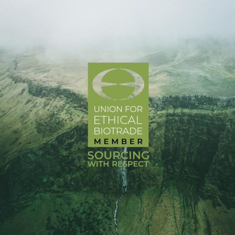 Firmenich Group joins Union for Ethical BioTrade, strengthening its commitment to biodiversity & natural ingredients sourcing