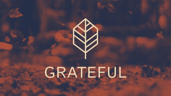 The Power of Saying "Thank You"