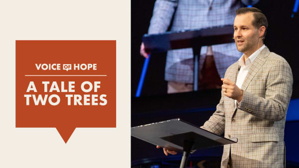 A Tale of Two Trees