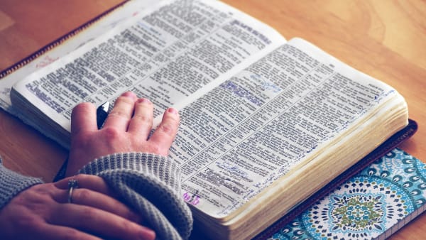 Your Labor Is Not in Vain