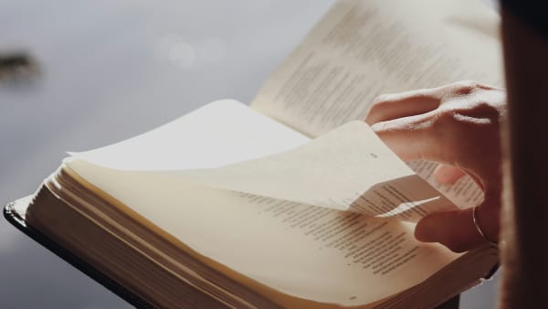 The Second Generation