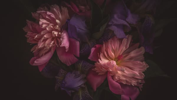 2026 Lent Week Seven