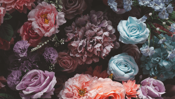 2026 Lent Week Eight