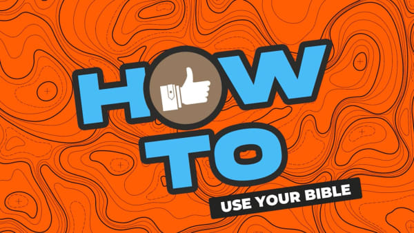 What to Read in the Bible