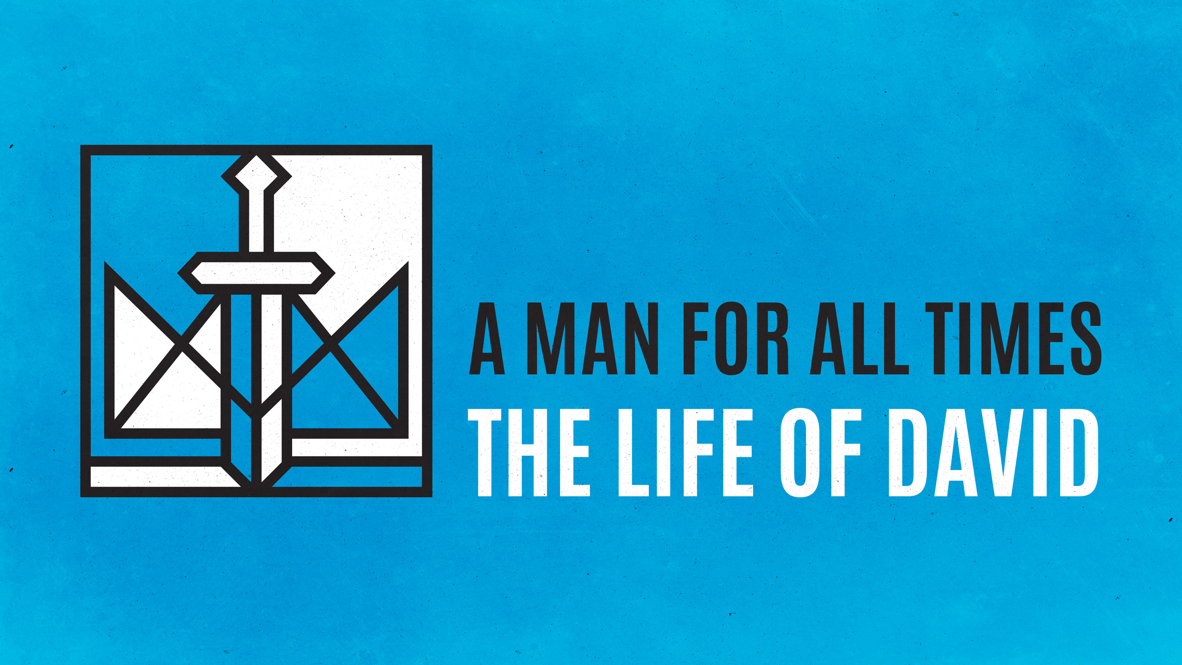 A Man For All Times: The Life of David