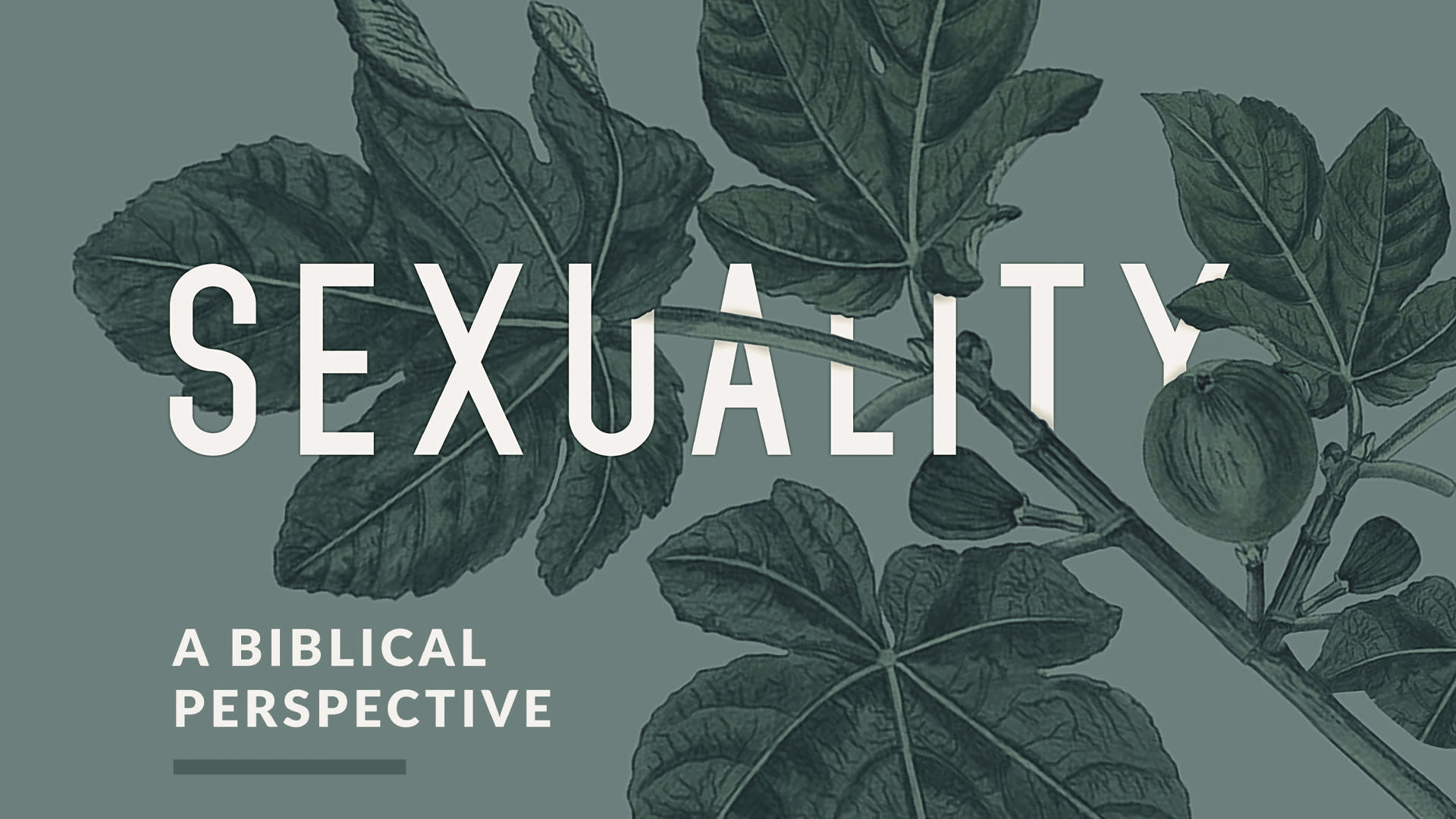 Sexuality A Biblical Perspective Teaching Series Crossings Community Church Crossings