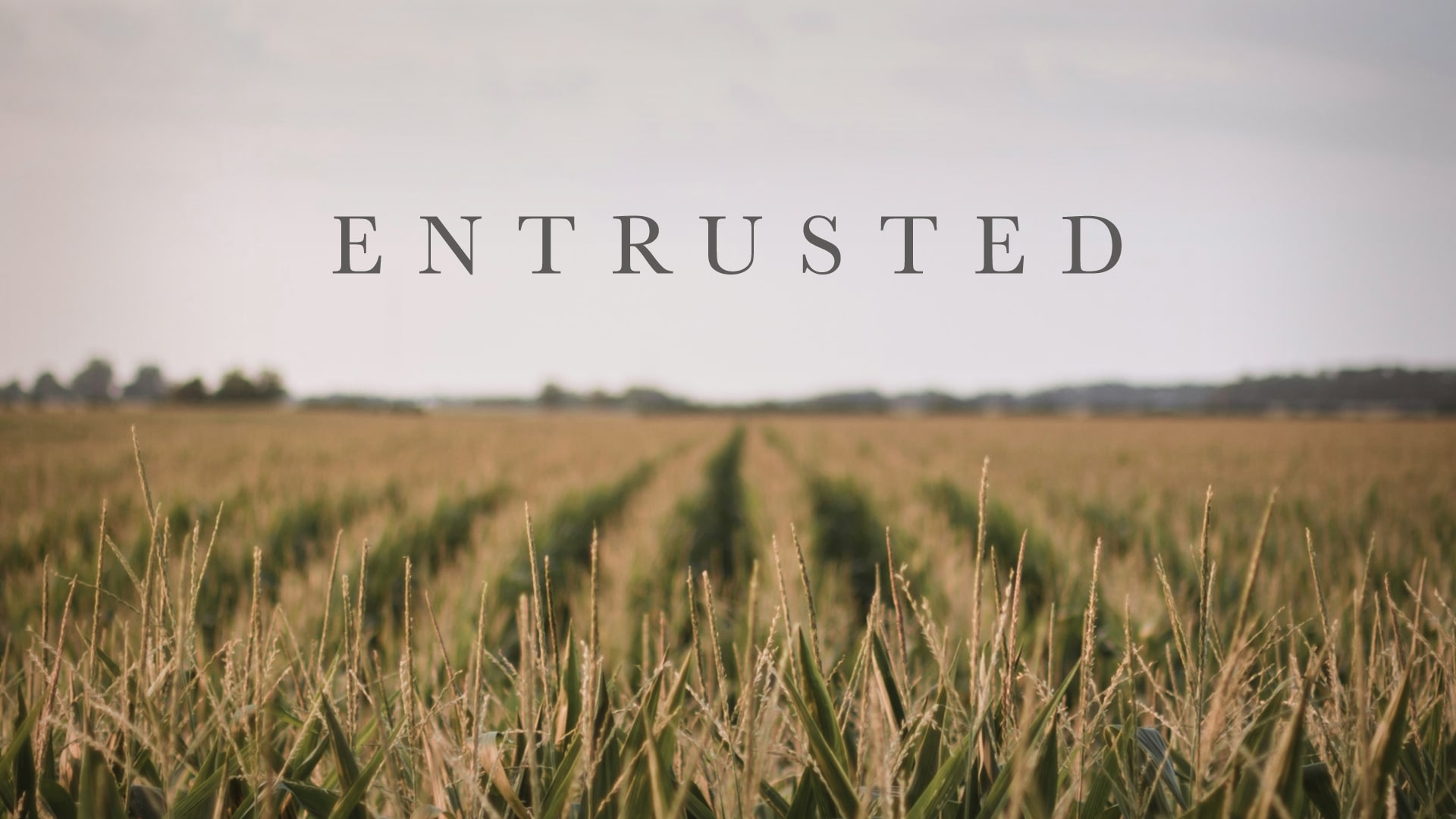 Entrusted