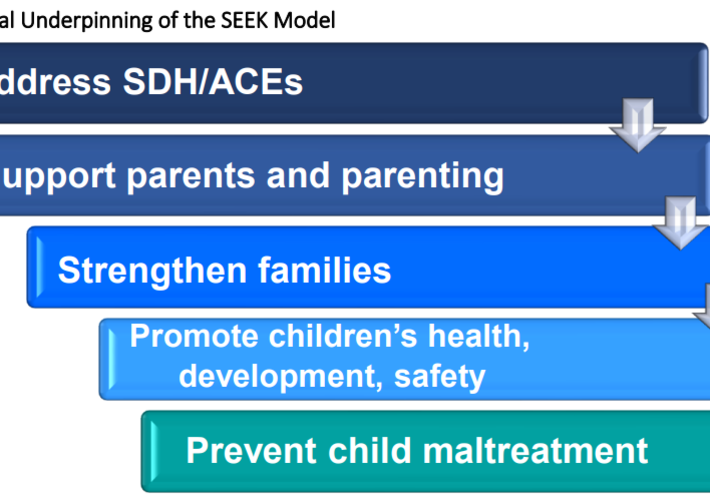 The Safe Environment for Every Kid (SEEK) Model