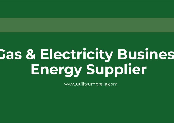Ultimate Guide to Choose among the Best Energy Providers for Business