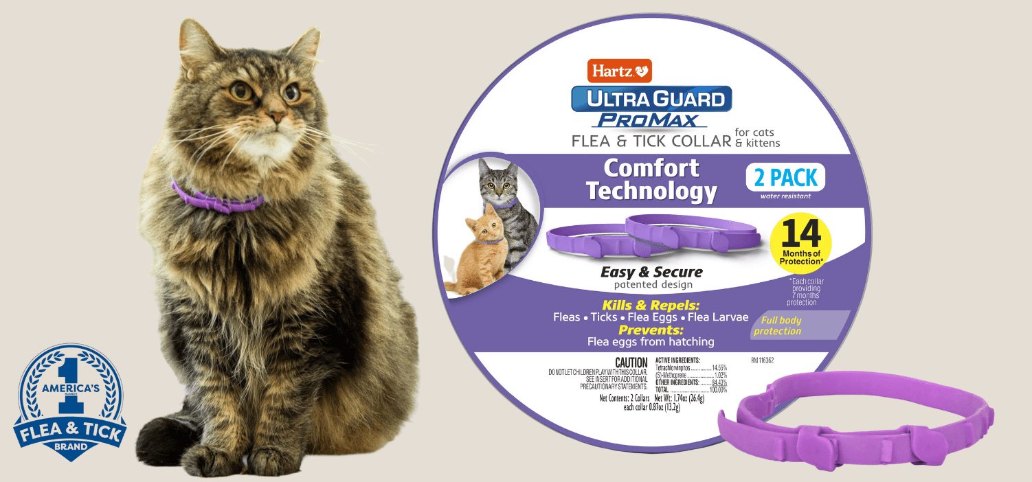 Free pet flea and tick samples