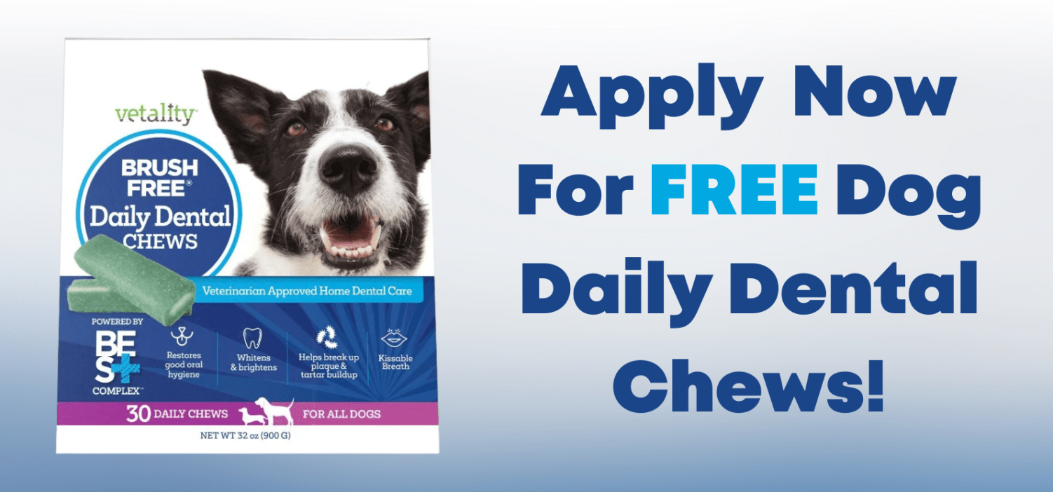 Blue dog clearance dental chews