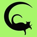 Chats sans Domicile asbl