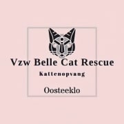 Belle Cat Rescue Farm