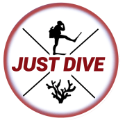 Just Dive