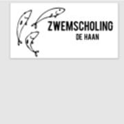 Zwemscholing De Haan