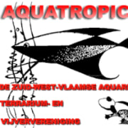 Aquatropica