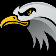 Flying Eagles