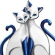 Vedette's Kattenthuisje vzw