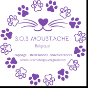 S.o.s moustache Belgique