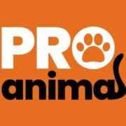 proanimal vzw lille