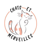 Chats et Merveilles